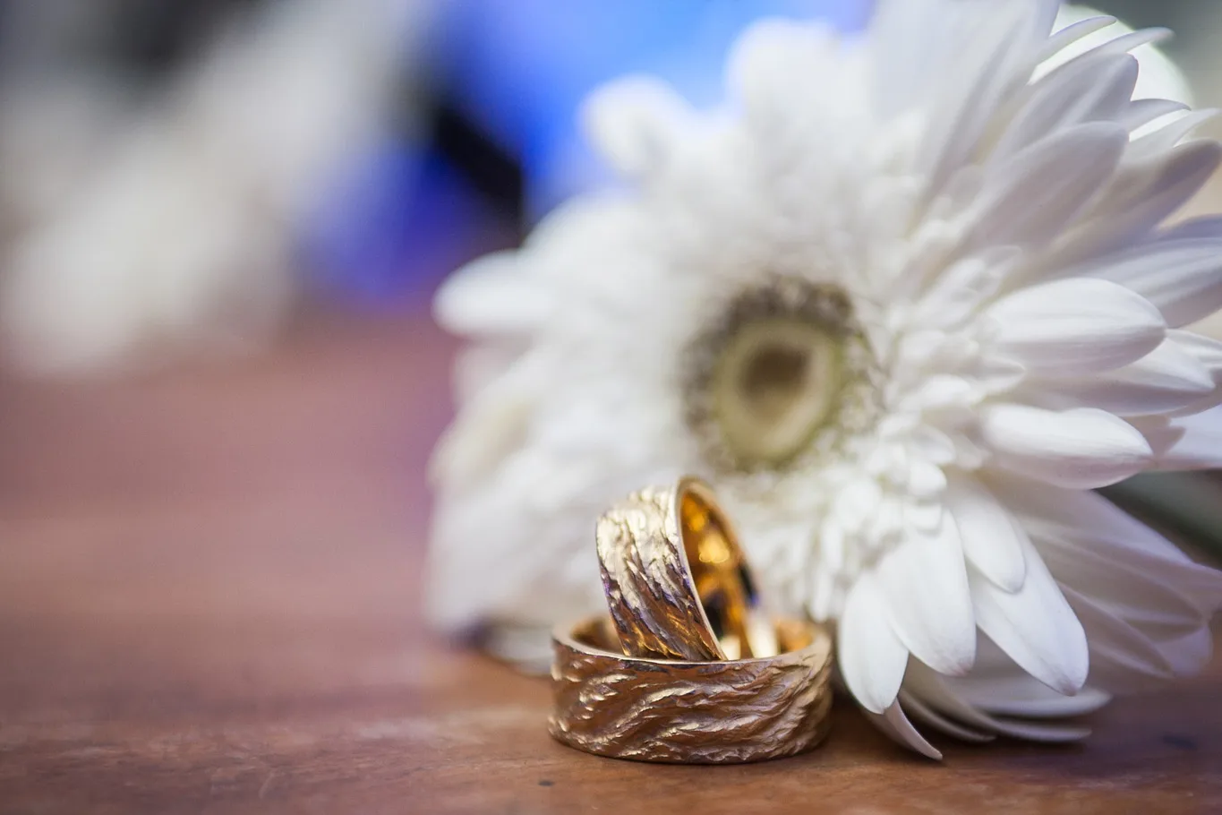 Alianças de casamento ao lado de uma flor branca