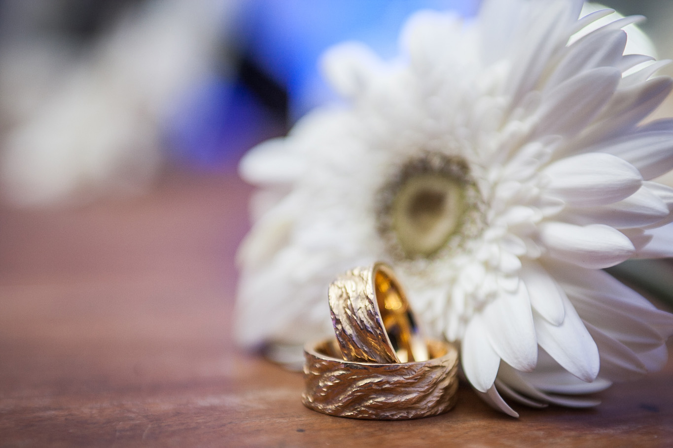 Fotografia de Casamento - Salvador - Bahia - Mateus Lima 